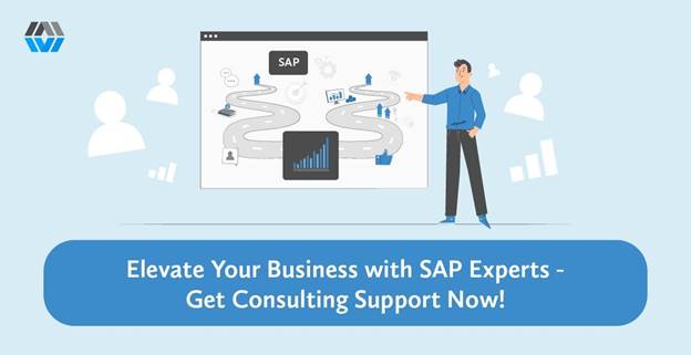 SAP consulting experts discussing a requirement